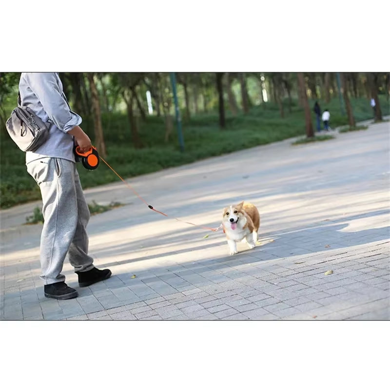 3M/5M/8Mretractable Dog Leash Nylon Extending Walking Reflective Leads Running Lead for Small Large Dogs with Dog Dispenser